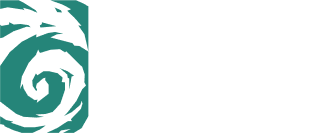 Digital Vortex